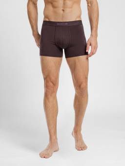 Guess - Men Brown Solid/Plain Cotton Regular Fit Trunk