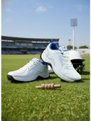 Off White color option, Currently selected