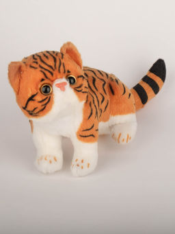 DukieKooky - Super Cute & Adorable Cat Soft Toy - Orange (2-6 Years)