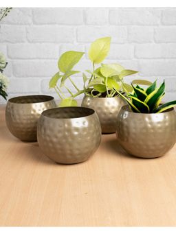 Homesake - Belly Bucket Planters Golden Hammer 4 Pieces