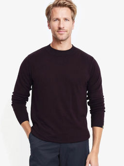 Rare Rabbit - Alfot Dark Wine Plain Regular Fit Sweater