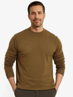 Rare Rabbit - Alfot Olive Plain Regular Fit Sweater