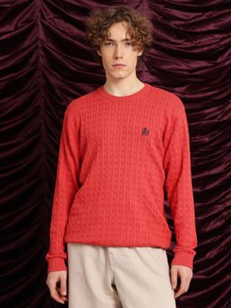 Rare Rabbit - Prota Orange Textured Regular Fit Sweater