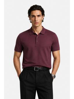 Snitch - Burgundy Solid Half Sleeves Regular Casual Polo T-Shirt for Men