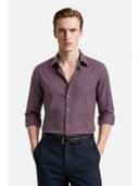 Mauve color option, Currently selected