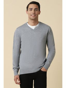 Allen Solly - Men Grey Textured V Neck Full Sleeves Sweater