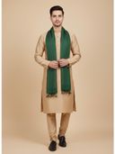 Green color option, Currently selected