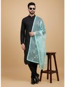 Aqua color option, Currently selected