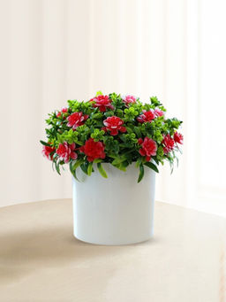 Ekhasa - Artificial Plants Flowers for Home Decor with Pot