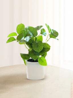 Ekhasa - Artificial Plants for Home Decor with Pot