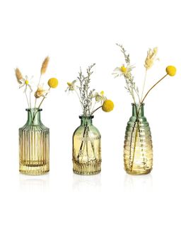 Ekhasa - 100% Crystal Clear Glass Bud Vases Flower Pots (Set of 3)