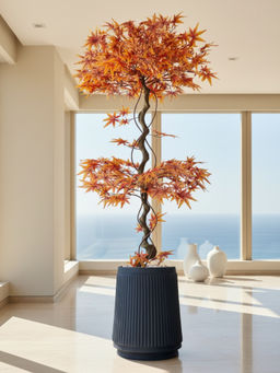 Mason Home - Amber Orange Maple Plant without Pot