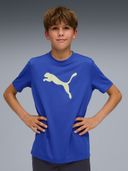 Blue color option, Sold out