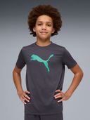 Grey color option, Sold out