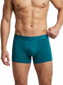 Blue color option, Currently selected