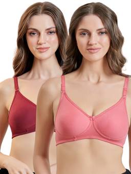 MAROON - Multi-Color Solid Cotton Regular Bra (Pack of 2)