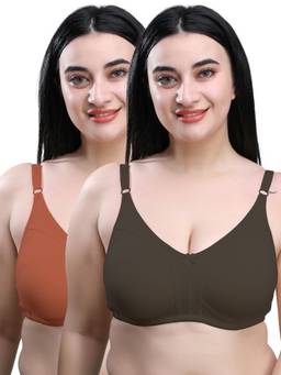 MAROON - Multi-Color Solid Cotton Regular Bra (Pack of 2)