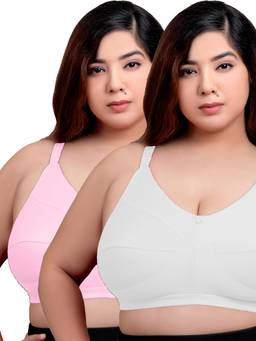 MAROON - Multi-Color Solid Cotton Regular Bra (Pack of 2)