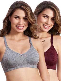 MAROON - Multi-Color Solid Cotton Regular Bra (Pack of 2)