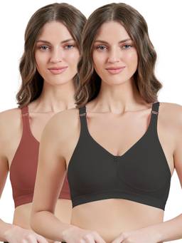 MAROON - Multi-Color Solid Cotton Regular Bra (Pack of 2)