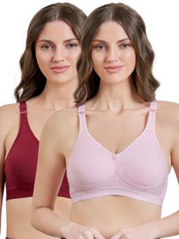 MAROON - Multi-Color Solid Cotton Regular Bra (Pack of 2)