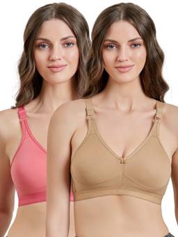 MAROON - Multi-Color Solid Cotton Regular Bra (Pack of 2)