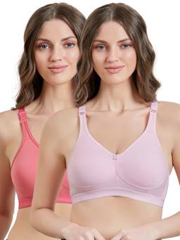 MAROON - Multi-Color Solid Cotton Regular Bra (Pack of 2)