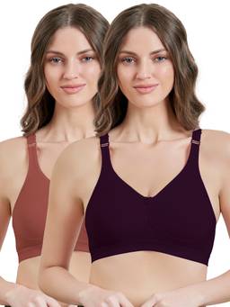 MAROON - Multi-Color Solid Cotton Regular Bra (Pack of 2)