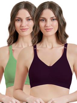 MAROON - Multi-Color Solid Cotton Regular Bra (Pack of 2)