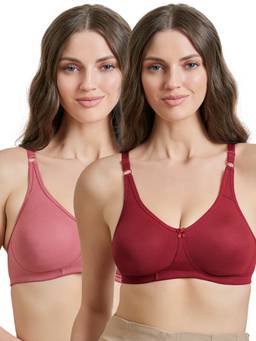 MAROON - Multi-Color Solid Cotton Regular Bra (Pack of 2)