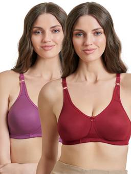 MAROON - Multi-Color Solid Cotton Regular Bra (Pack of 2)