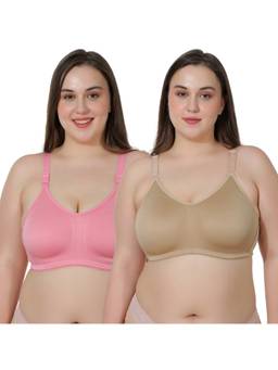 MAROON - Multi-Color Solid Cotton Regular Bra (Pack of 2)