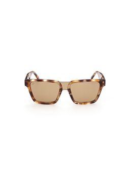 Web Eyewear - Brown Acetate Full Rim Square Unisex Sunglasses (WE0314 00 41F)