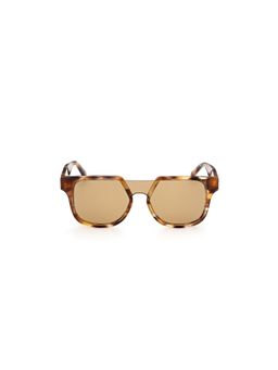 Web Eyewear - Brown Acetate Full Rim Square Unisex Sunglasses (WE0315 00 41F)