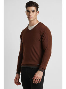 Peter England - Men Brown Solid V Neck Sweater