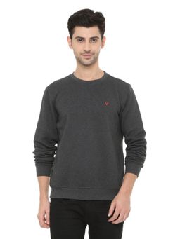 Allen Solly - Men Grey Crew Neck Full Sleeves Casual Sweatshirt