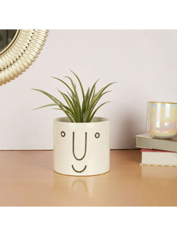 HomeTown - Alura Ceramic Planter in White Colour