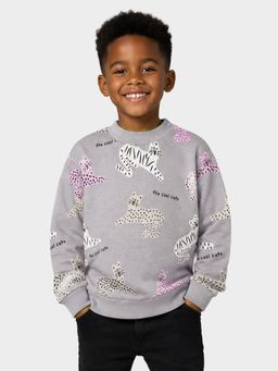 Mi Arcus - Grey Cotton Full Sleeves Printed Sweatshirt