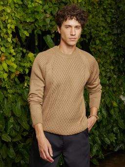 Campus Sutra - Men Camel Beige Hive-Knit Pullover Sweater