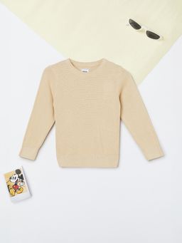 max - Boys Beige Knit Sweater
