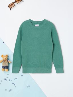 max - Boys Green Knit Sweater