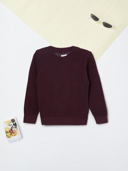 max - Boys Burgundy Knit Sweater