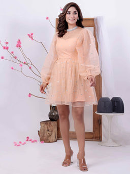 Ethnovog - Ready To Wear Peach Embroidered Net Dress
