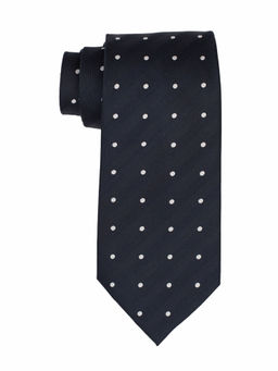 The Tie Hub - Polka Blue & White Necktie
