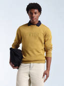 Yellow color option, Currently selected