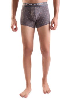 Park Avenue - Men Cotton Blend Grey Printed Trunk