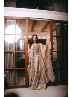 Twenty Nine - Tanisha Santoshi Banarasi Brocade Crop Top With Lehenga And Cape