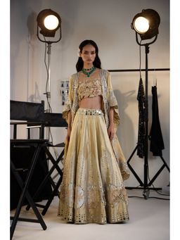 Twenty Nine - Banarasi Brocade Crop Top With Lehenga And Cape