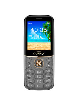 Saregama - Carvaan Tamil Phone Don M23 with 351 Pre Loaded Songs - Grey