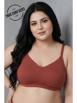 Zivame - Women Brown Solid/Plain Polyester Blend T-Shirt Bra